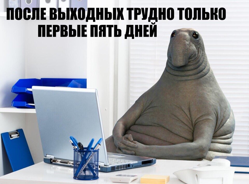 Начало трудовой недели приколы