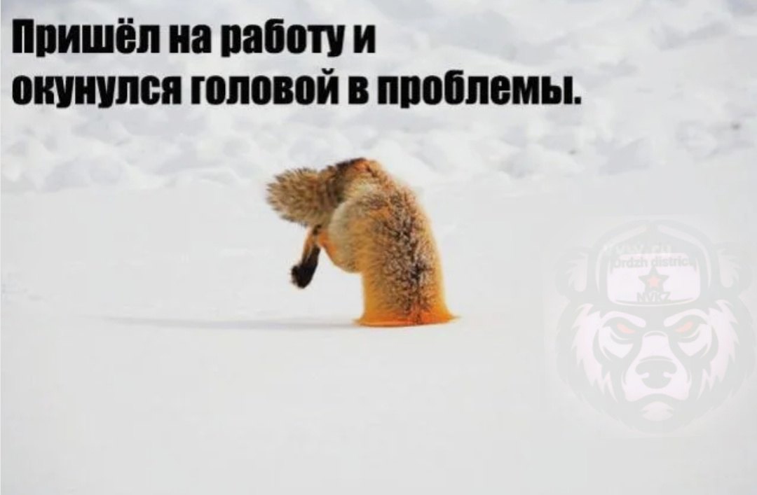 Пожелания на неделю рабочую прикольные