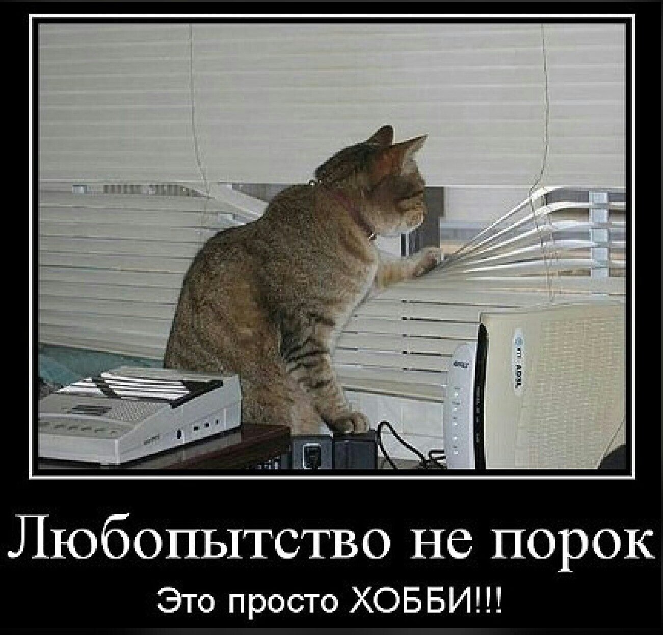 Шутки про понедельник