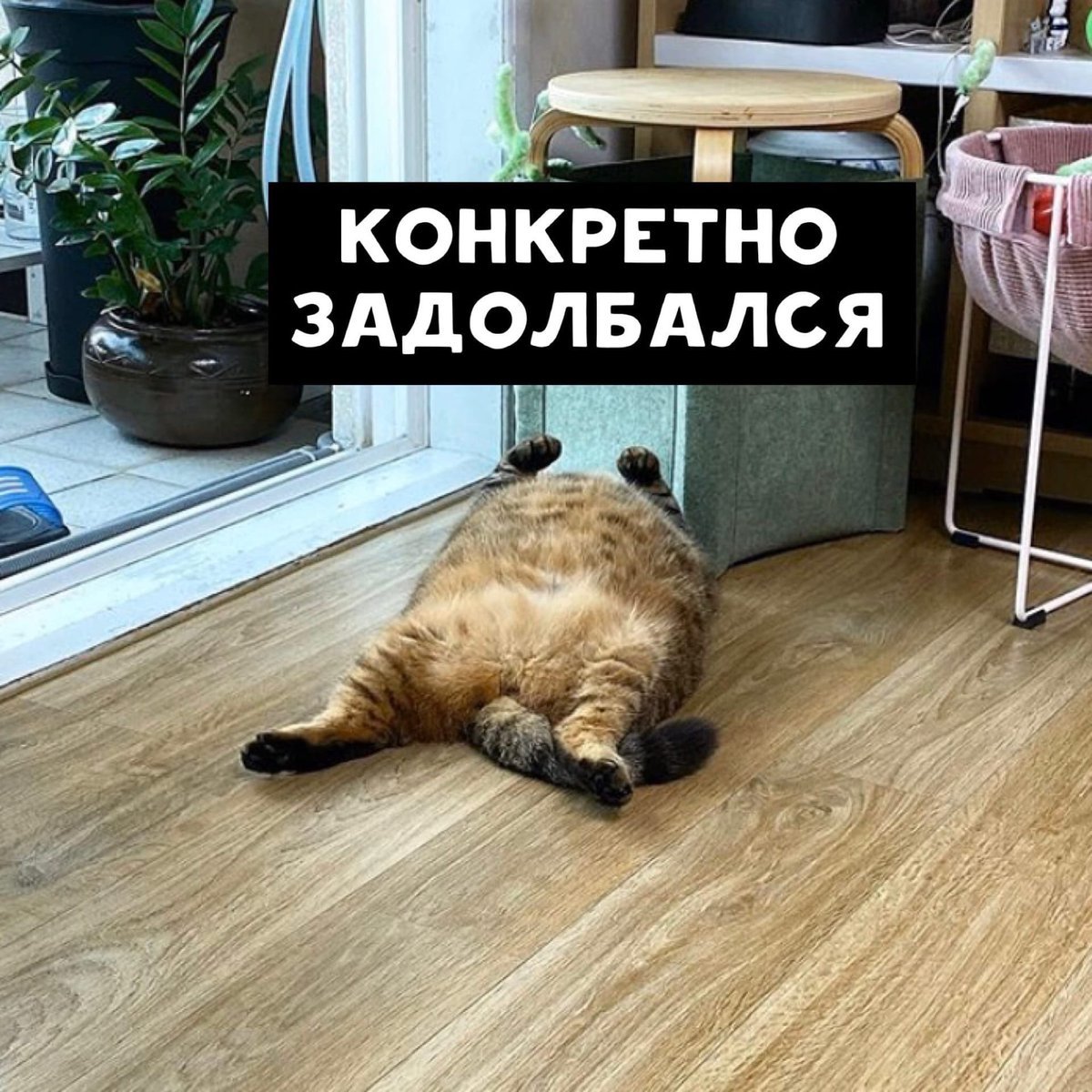 Смешные цитаты про понедельник