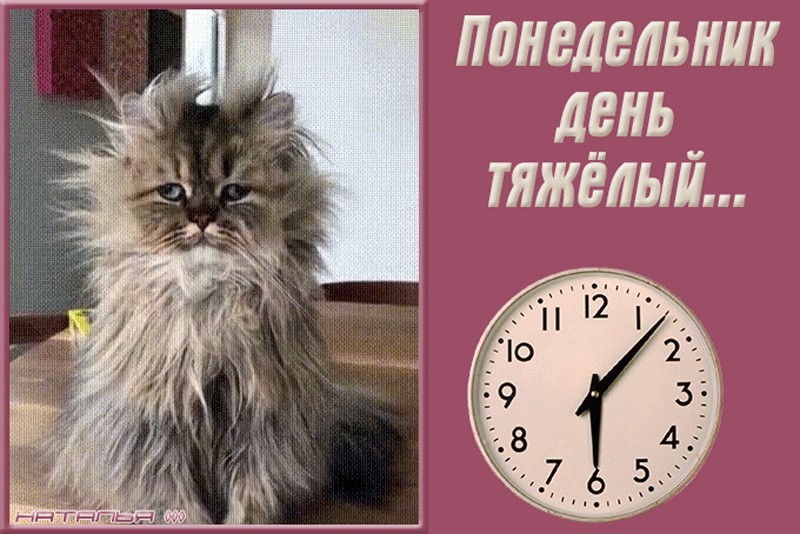 Картинка начало рабочей недели приколы