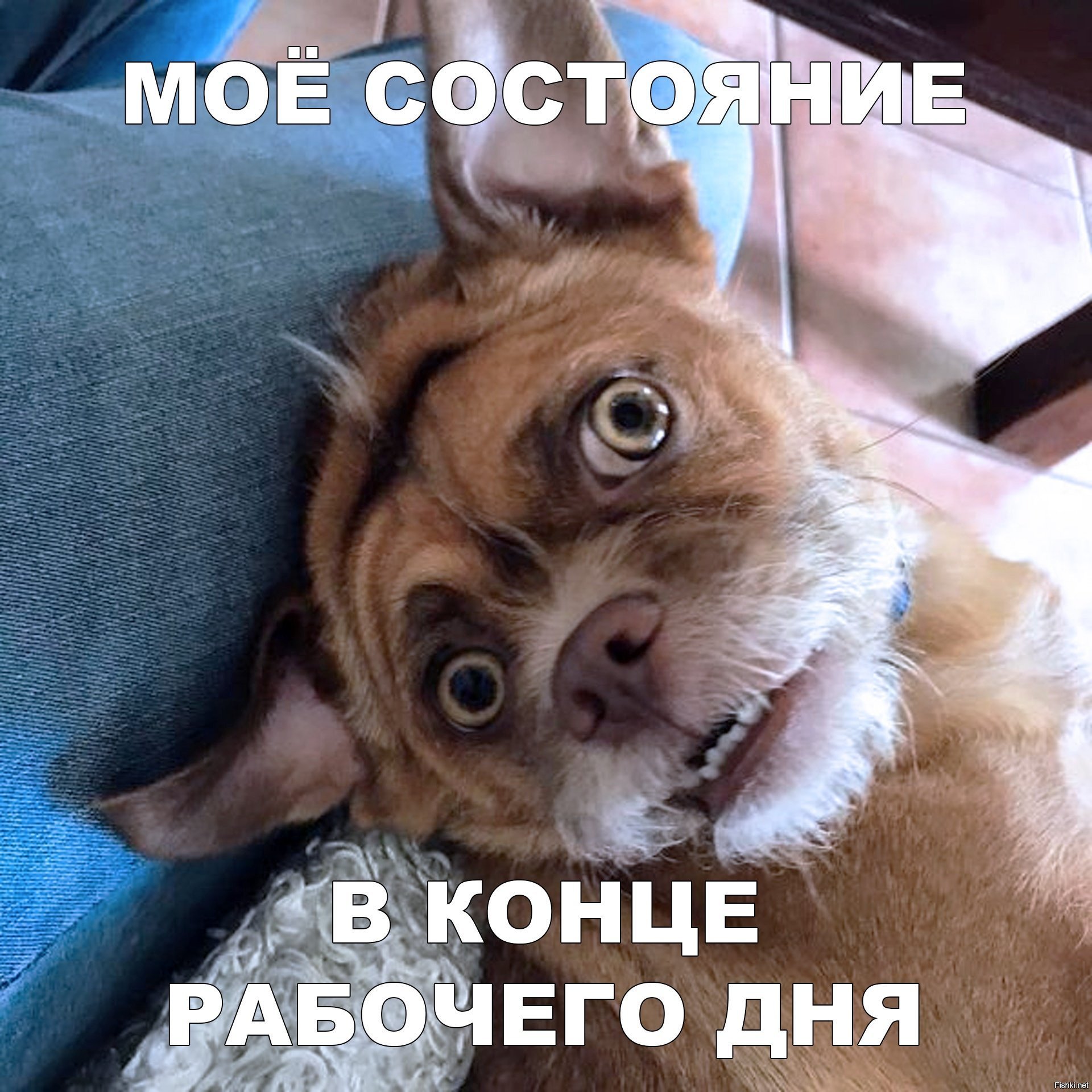 Смешные цитаты про рабочую неделю