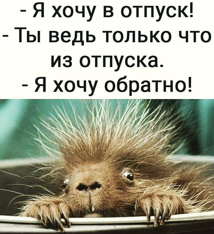 Смешные Картинки Про Рабочую Неделю.