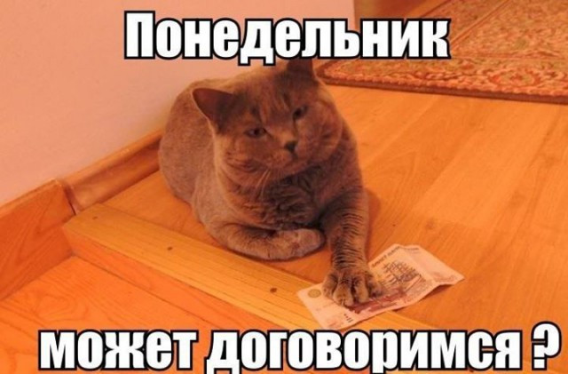 Прикольные открытки с первым рабочим днем после отпуска прикольные 55 шт.