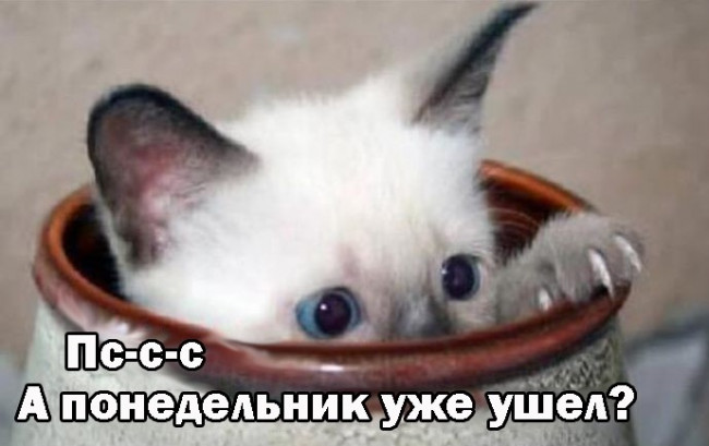 Выход на работу после праздников