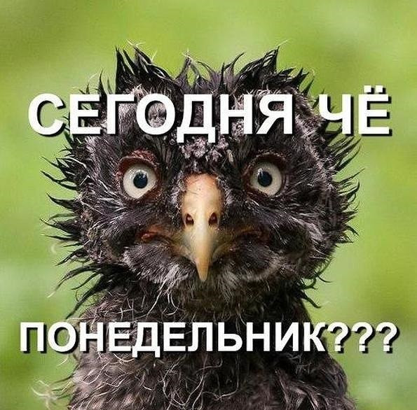 Удачного Первого Рабочего Дня Картинки.
