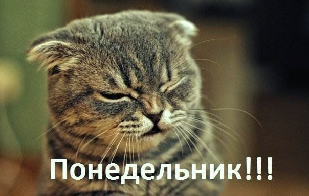 С понедельником - картинки прикольные и смешные с надписями.