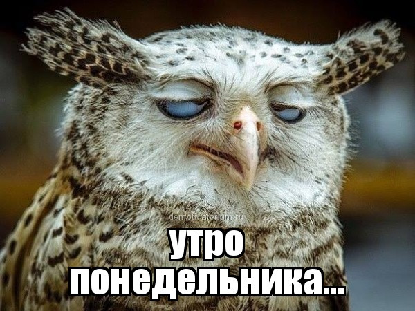 Большая коллекция прикольных картинок про Понедельник, анимационные, демотиваторы, с надписями.