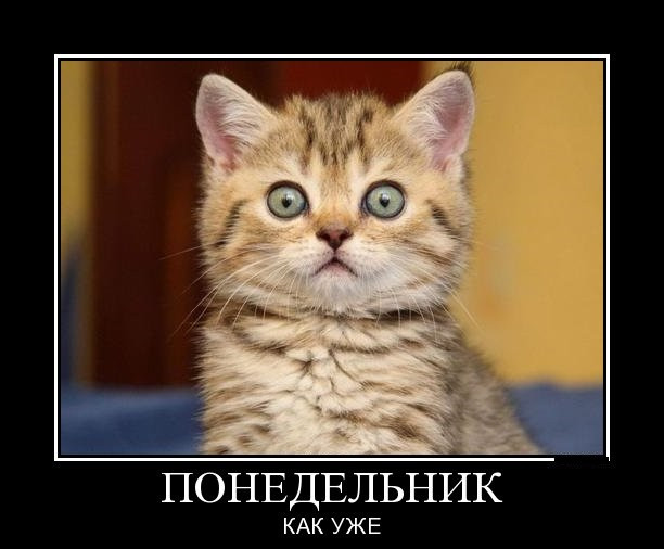 Понедельник день тяжелый, Скачать бесплатно.