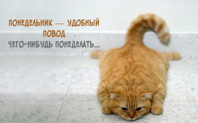 Собрали свежую подборку красивых картинок про понедельник, которая так и называется Понедельник начинается картинки прикольные.