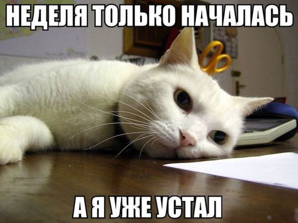 Поздравления С первым рабочим днем
