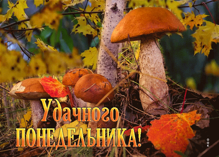 Необычная gif картинка с грибочками Удачного понедельника этой Осенью!