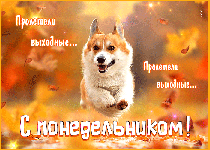 Забавная открытка Пролетели выходные... С понедельником!