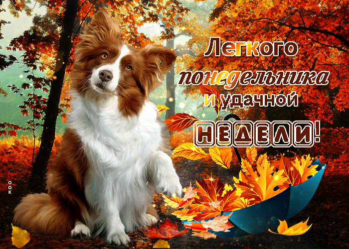 Красивая осеняя gif картинка лёгкого понедельника и удачной недели.