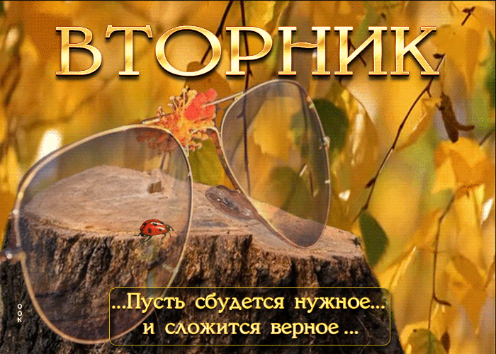 Анимация, осень Вторник, Пусть сбудется нужное и сложится верное.