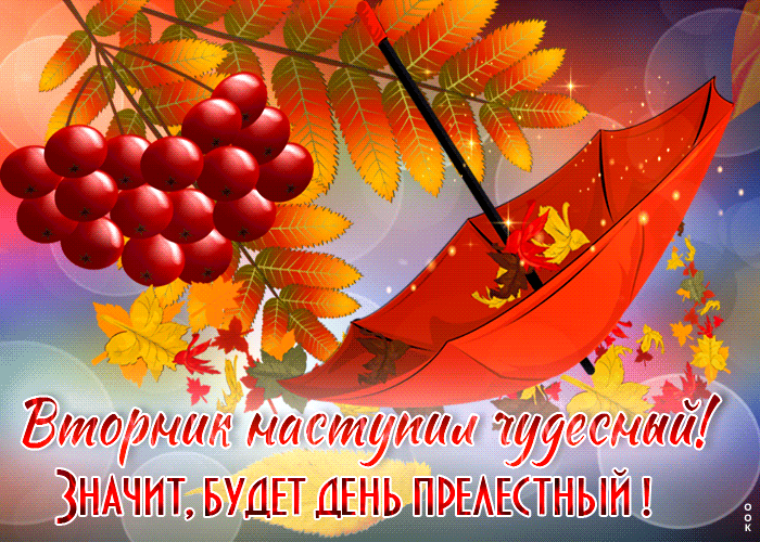 Гифка Вторник наступил чудесный, Значит, будет день прелестный.