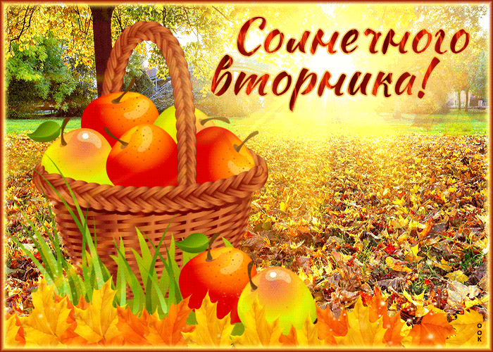 Веселая гиф-открытка Солнечного вторника Осенью.