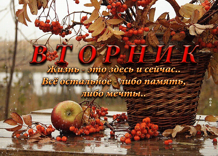Gif картинка осень, Вторник, Жизнь - это здесь и сейчас.