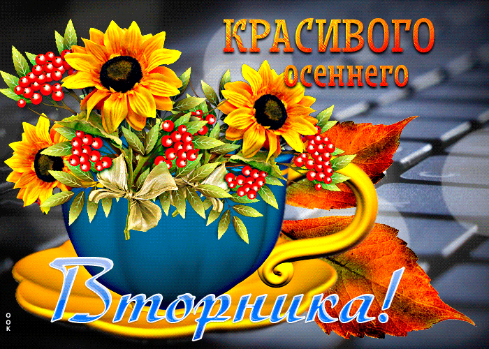 Гифка Поразительная открытка Красивого осеннего вторника.