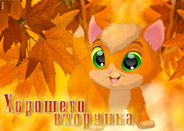 Gif картинка Красочная осенняя открытка Хорошего вторника.