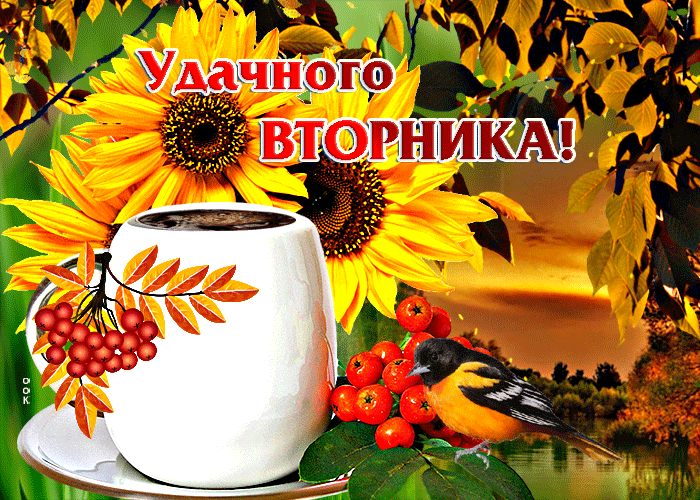 Прикольная осенняя gif картинка с птичкой Удачного вторника.