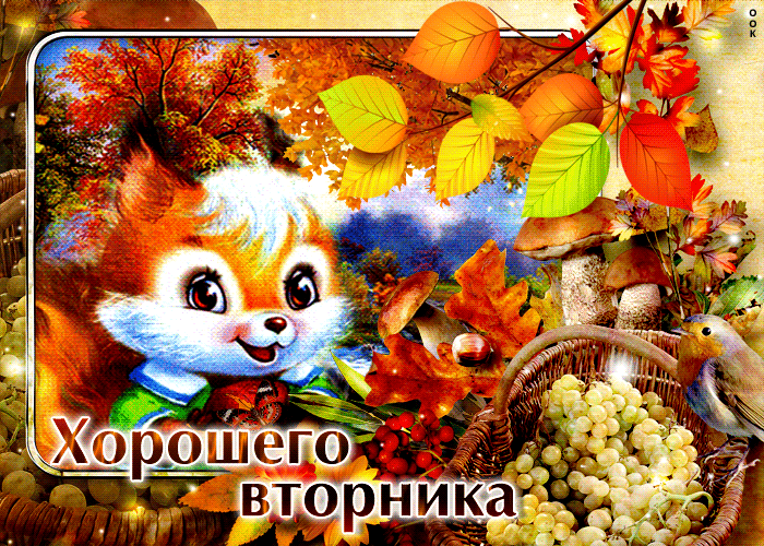 Гифка Симпатичная осенняя открытка Хорошего вторника.