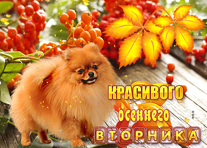 Анимация красивого осеннего вторника.