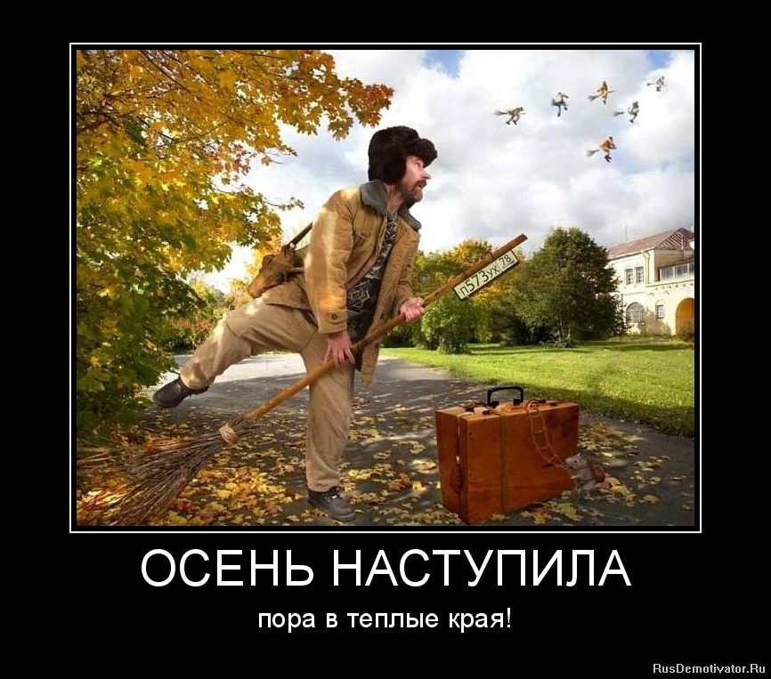 Забавные Картинки Про Осень.