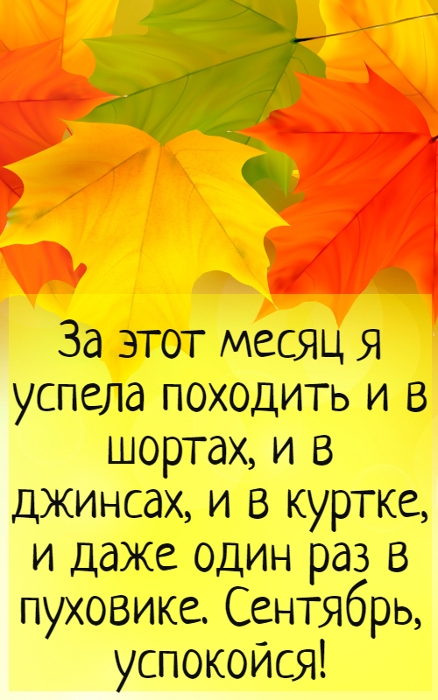 Вот и осень пришла картинки смешные.