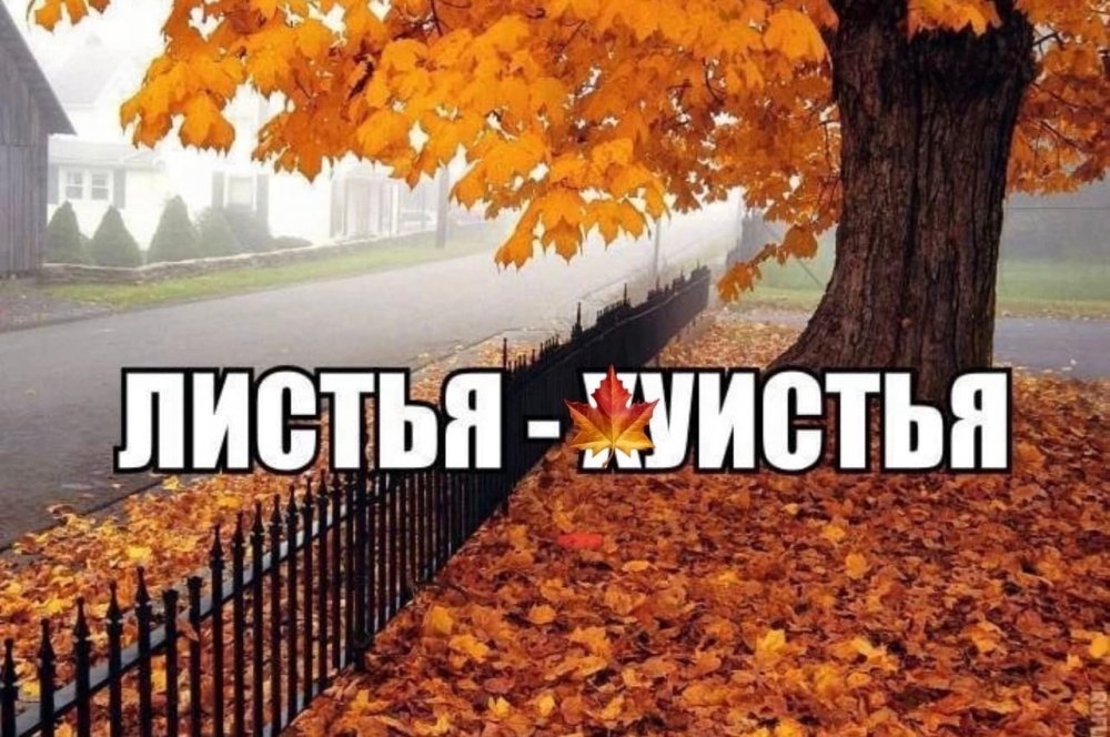 Утро Сентября Картинки Необычные.