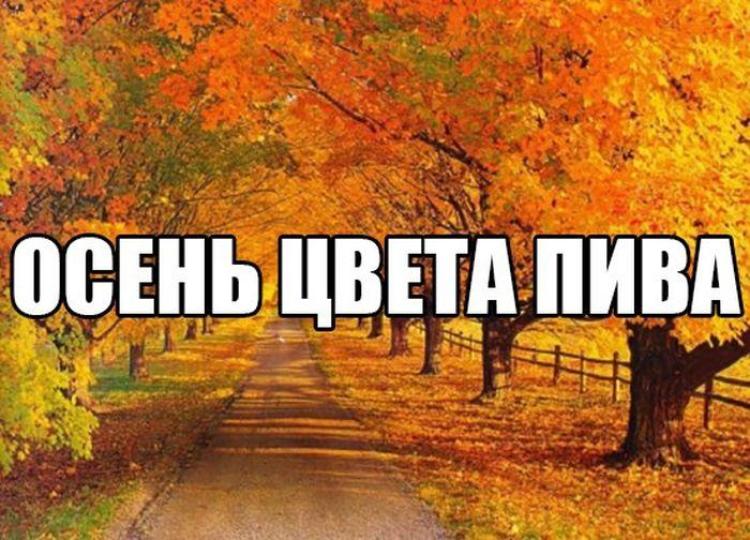 Анекдоты про осень в картинках