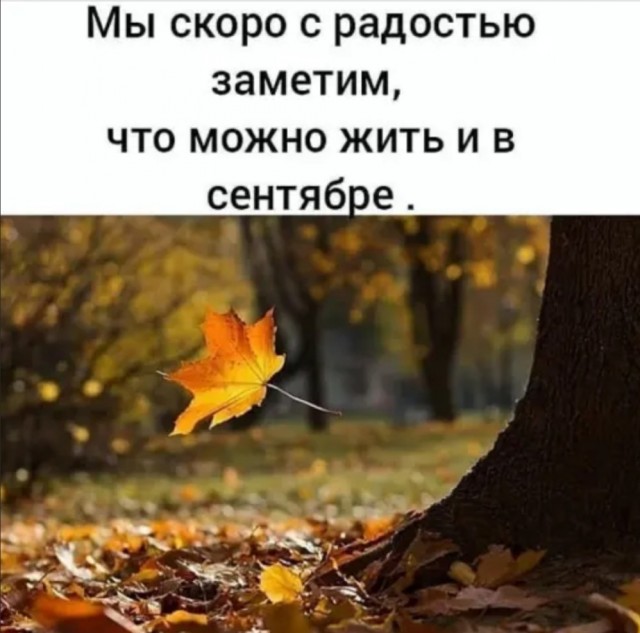 Хостинг картинок yapx.ru