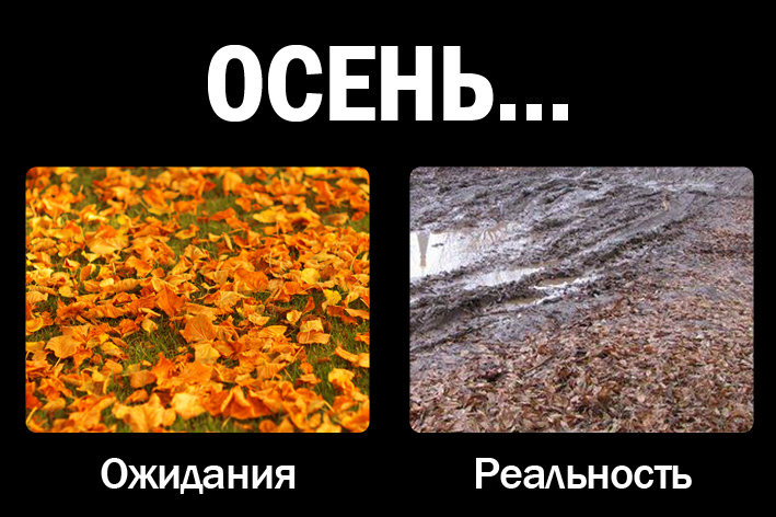 Шутки про осень