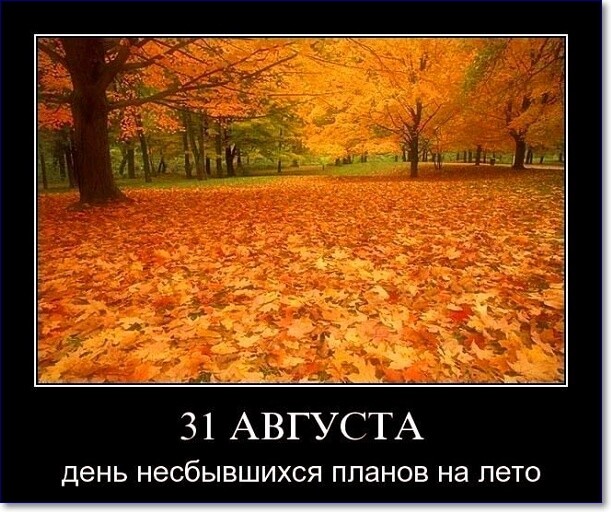 Веселые Картинки Про Осень Для Настроения (138 фотографий) .