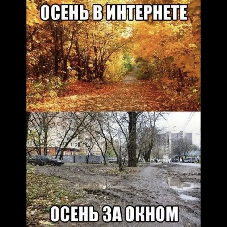 Прикольные картинки про сентябрь с надписями 40 штук.