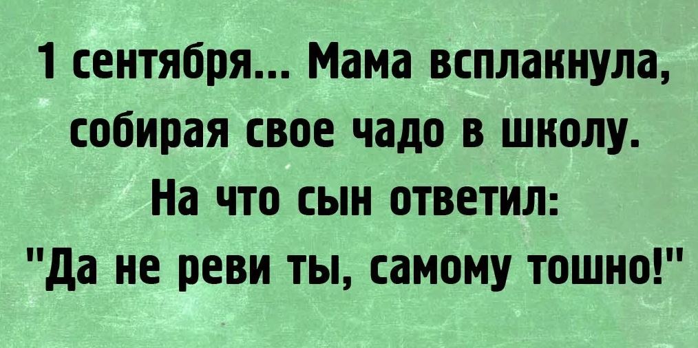 Скачивайте и дарите смешные сентябрьские приколы всем своим знакомым и друзьям в интернете.