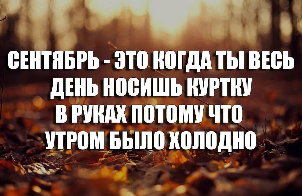 Смешная картинка про сентябрь, демотиватор, шутка, прикол.