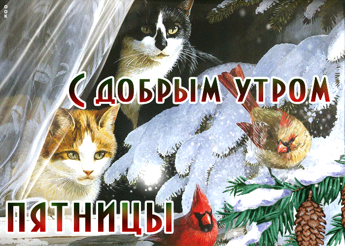 Нежная открытка с котиками С добрым утром пятницы! Нежная открытка с котиками С добрым утром пятницы!