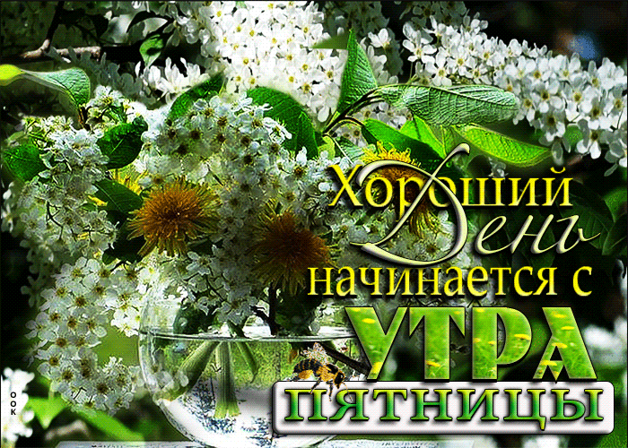 Нежная открытка с кофе Пятница! Доброе утро Нежная открытка с кофе Пятница! Доброе утро