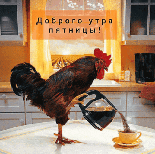 Прикольные открытки с добрым утром пятница прикольные. Прикольные открытки с добрым утром пятница прикольные.