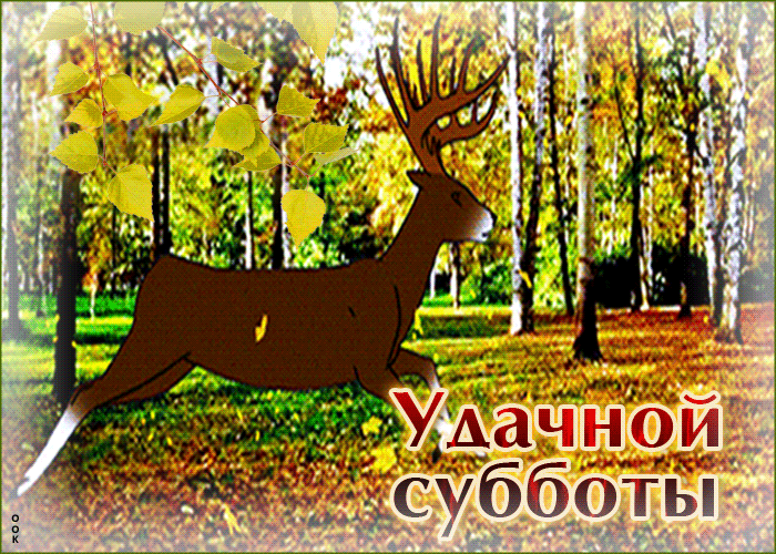 Забавная открытка Удачной осенней субботы, С оленем. Забавная открытка Удачной осенней субботы, С оленем.