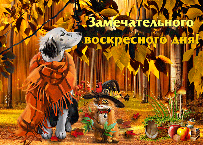 Светлая осенняя гиф-открытка Замечательного воскресного дня!
