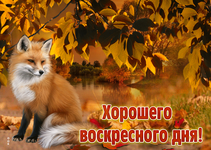 Осенняя Душевная гиф-открытка Хорошего воскресного дня.