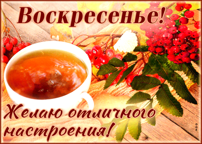 Осеняя Оптимистическая гиф-открытка Желаю отличного настроения.