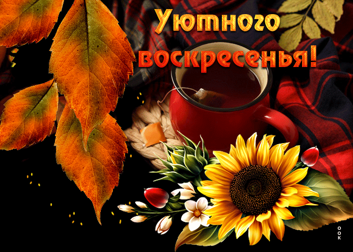 Осенняя Очаровательная открытка Уютного воскресенья!
