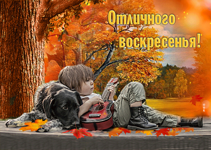 Гифка Прелестная открытка Отличного воскресенья, С осенней природой.