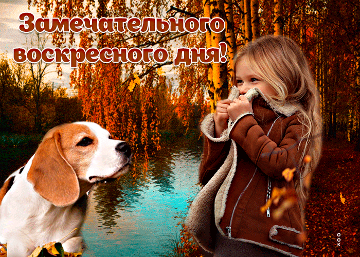 Осенняя Роскошная открытка Замечательного воскресного дня.