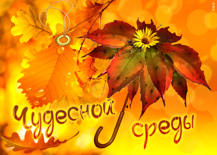 Яркая осенняя gif картинка Чудесной среды!