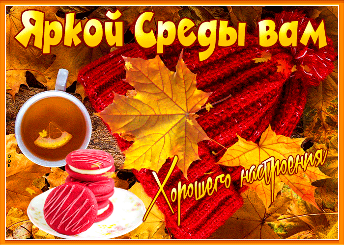 Восхитительная гифка Яркой среды вам, Хорошего осеннего настроения.