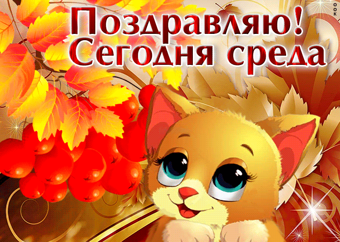 Гифка Супер открытка с кошкой Поздравляю, Сегодня среда, осень!